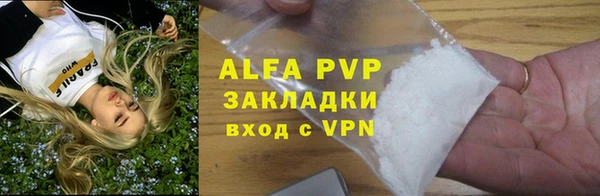 PSILOCYBIN Верхний Тагил