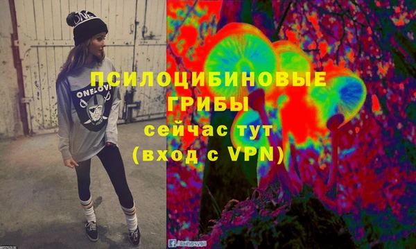 а пвп мука Верея