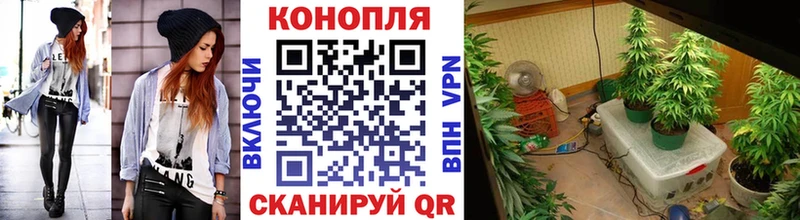 Шишки марихуана Amnesia  Купить  Ковдор 
